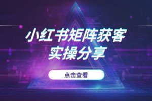 2025小红书矩阵获客新策略:多账号布局,实现低成本精准引流 (实操分享)