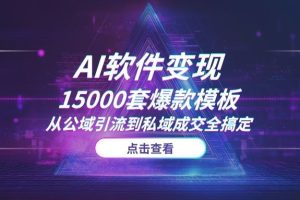 【2025独家】AI软件变现项目：送你15000套爆款模板，从公域引流到私域成交全搞定