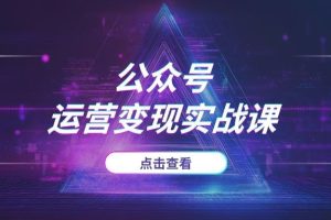 2025年公众号从0到1赚钱指南：从账号搭建到“10万+”爆文，全流程运营变现实战课