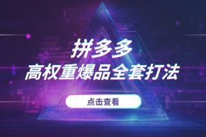 2025年拼多多赚钱公式：从“蓝海类目”选择到“高利润”定价，打造高权重爆品的全套打法