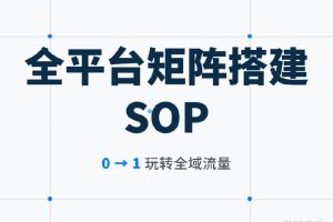 【保姆级】全平台矩阵搭建SOP:手把手教新手“省钱”布局,从0到1玩转全域流量