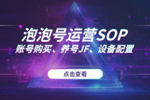 2025年泡泡号最新运营SOP：从账号购买渠道、养号JF到设备配置的全流程指南