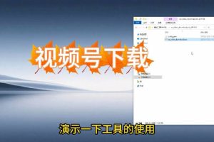 【免费】视频号下载工具