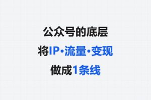 公众号的底层：将IP·流量·变现做成1条线