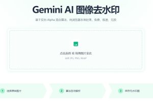 分享一个去除Gemini nano banana 水印的好工具