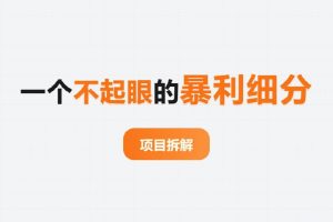 项目拆解丨深扒一个不起眼的暴利细分：只卖几页“纸”，8个月变现10万+